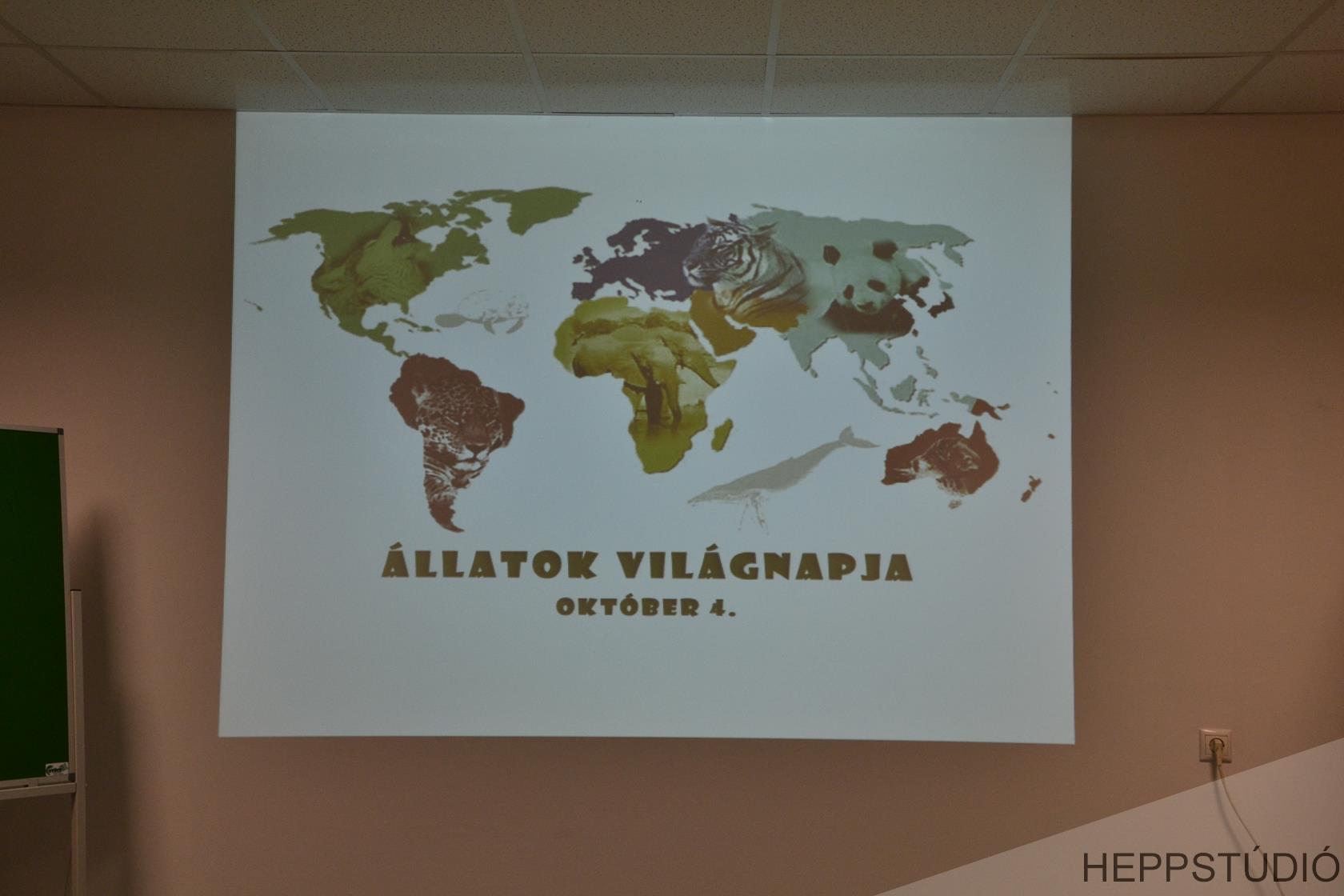 allatok vilagnapja (2)